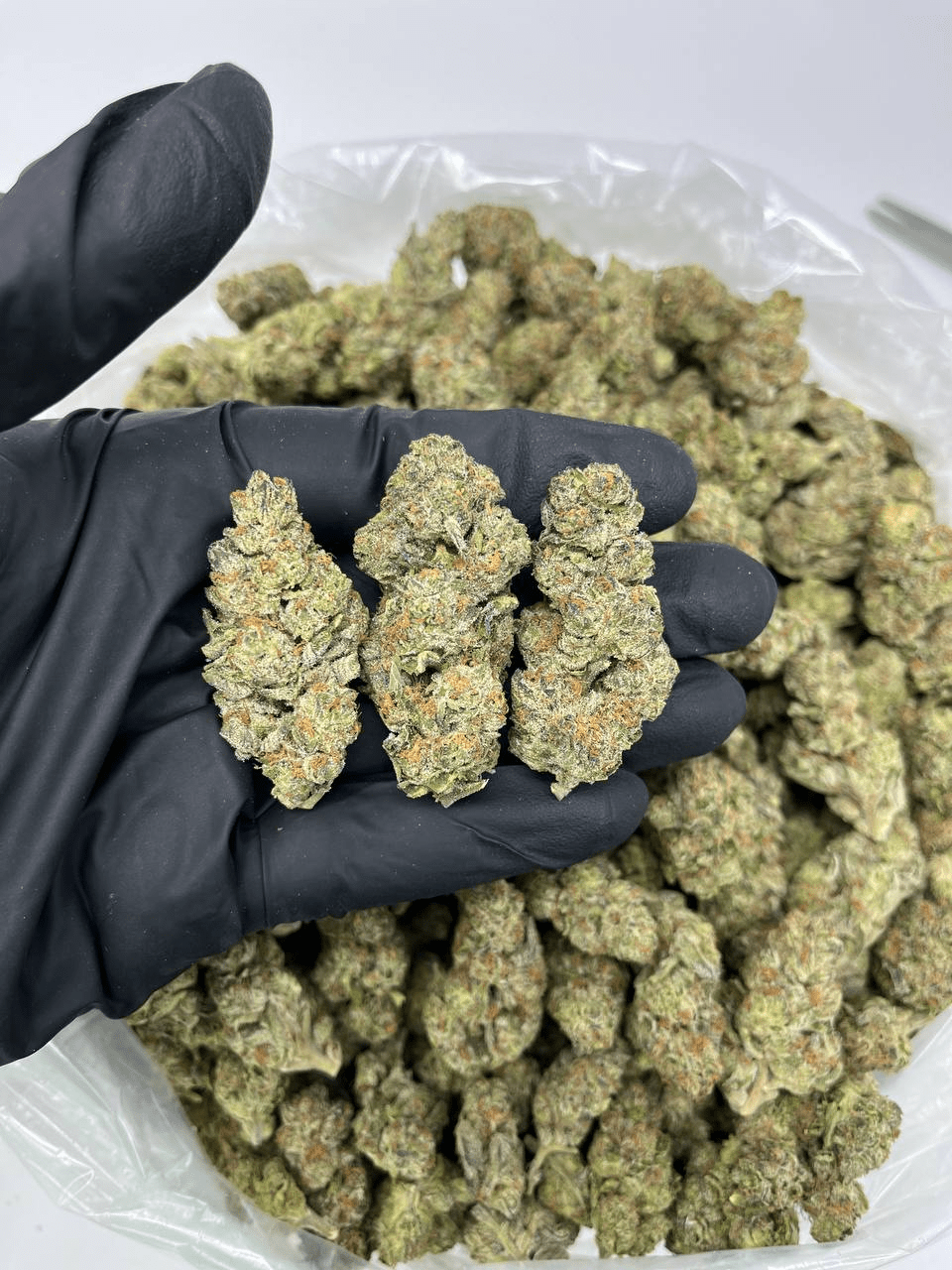 Orange Kush - Mi tienda